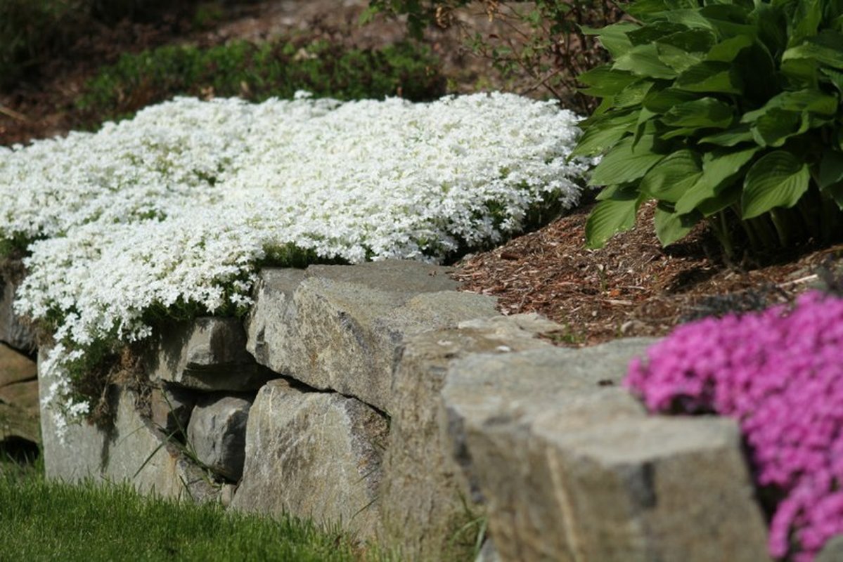 Retaining Wall with Steps